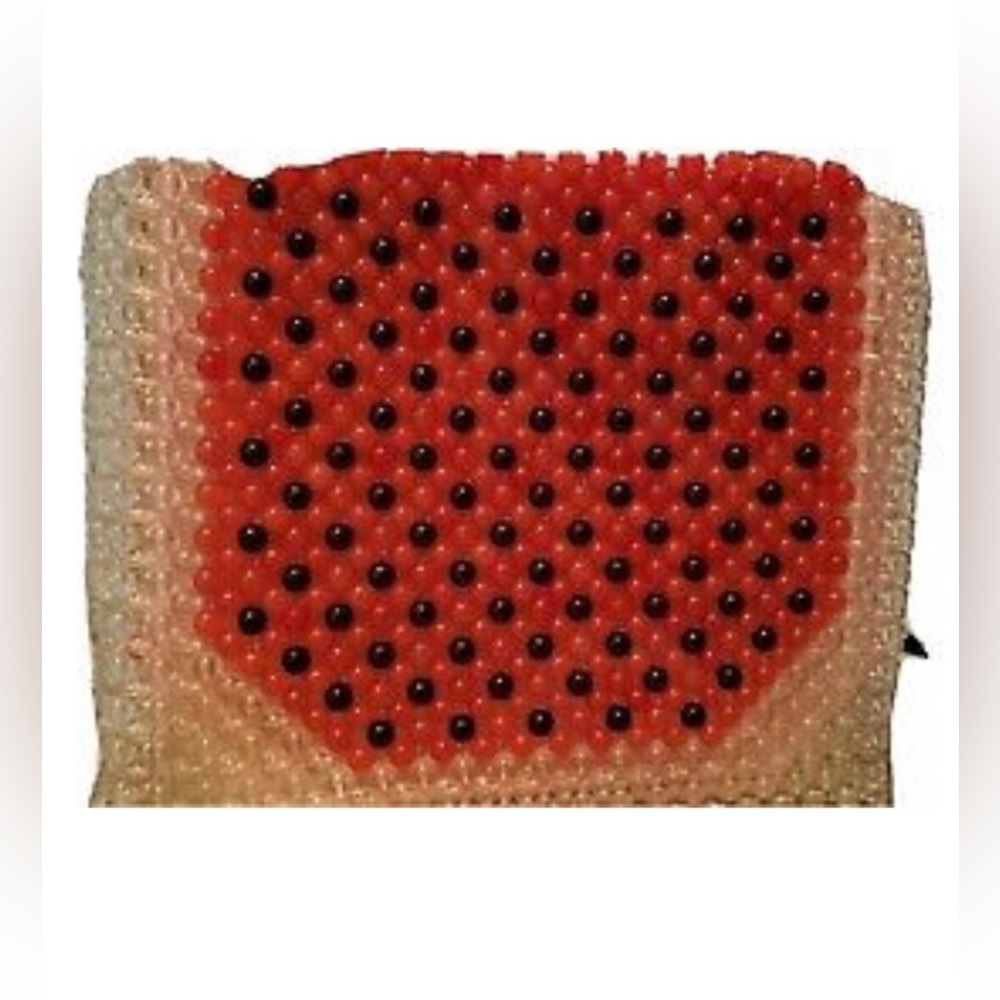 Cynthia Rowley Beaded Watermelon Hand Bag Purse Square Designer